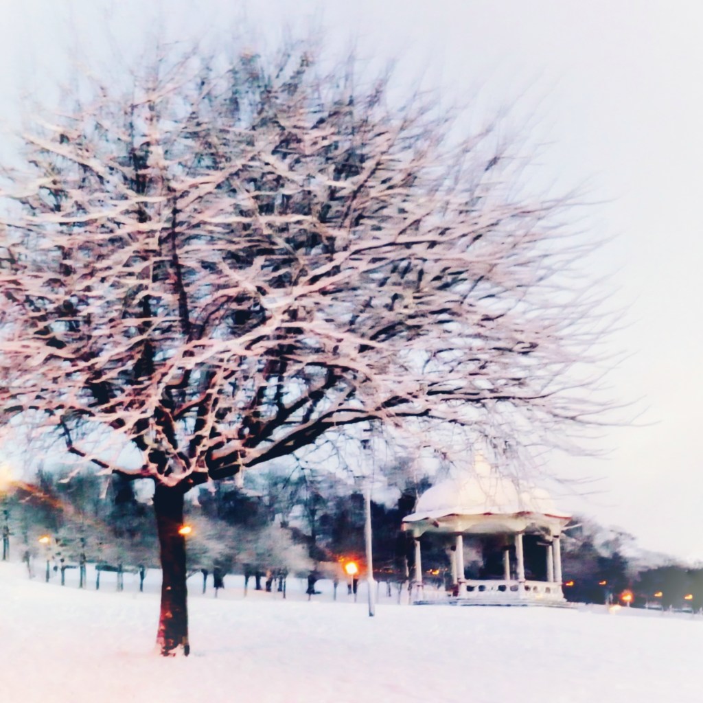 Winter in Dunfermline Public park